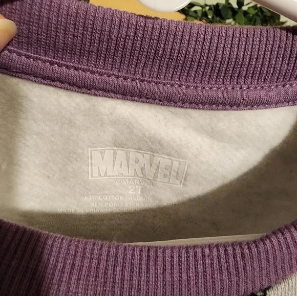 NWT Boys Marvel Wakanda Forever Sweatshirt. Size 2T. Gray - Picture 2 of 4